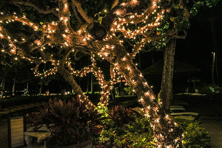 String lighting will illuminate your new decking from above